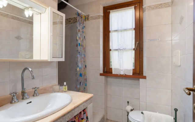 Bouganville 39328