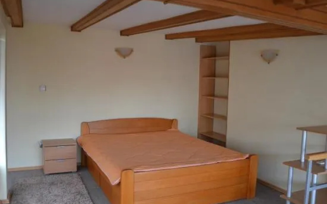 Apartment Vladimir