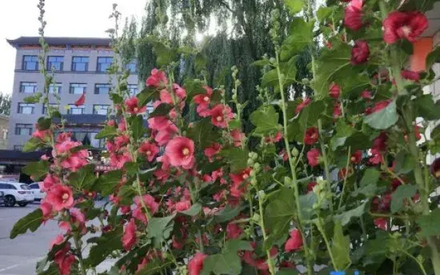 Yongchang Beihaiquan Hotel
