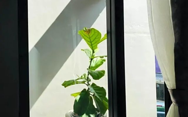 Little One Hostel