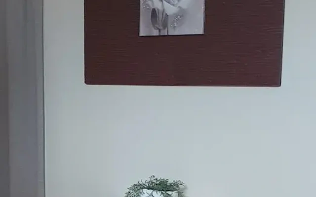 Masangy's Studio