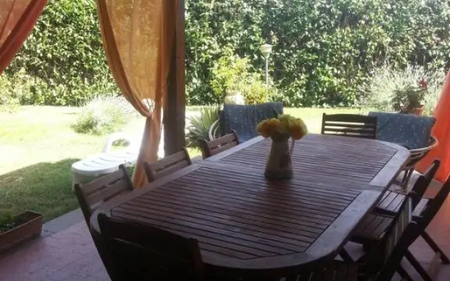 Gatto Matto