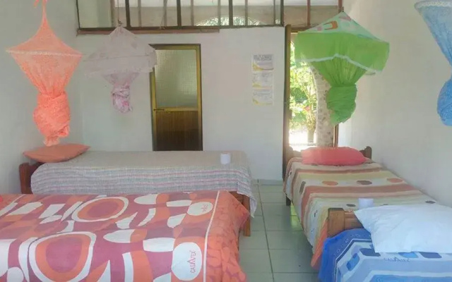 Hostal El Lobo - Adults Only - Hostel