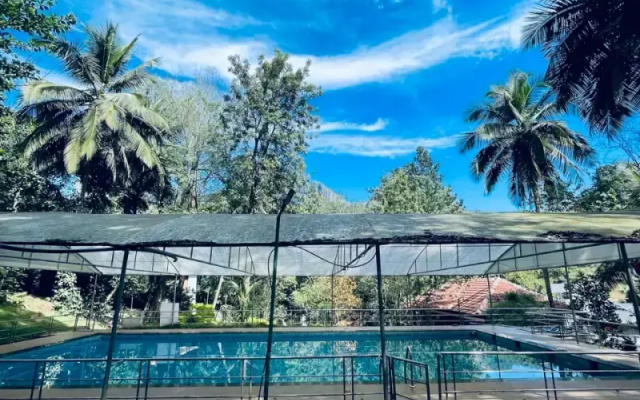Treetop Resort