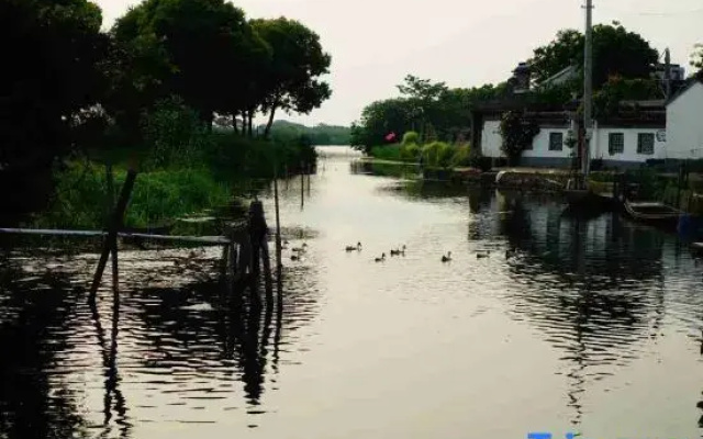 Suzhou Yangcheng Lake and the accompanying courtyard homestay