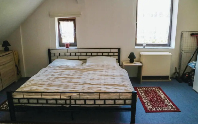 Stunning Apartment in Rankwitz With 1 Bedrooms and Wifi