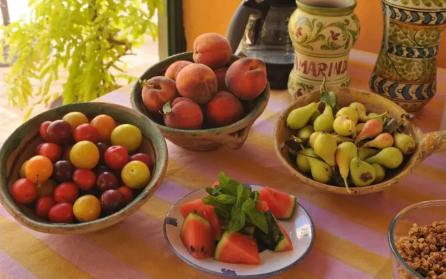 Bed and Breakfast Sotto La palma