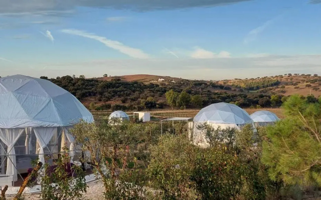Glamping Skies