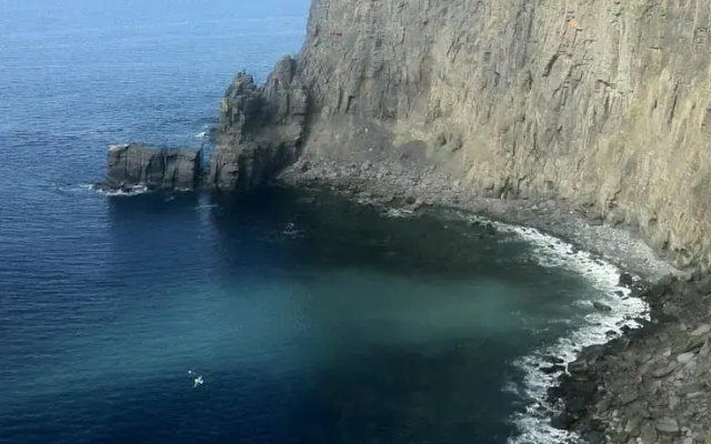 Dolphin View