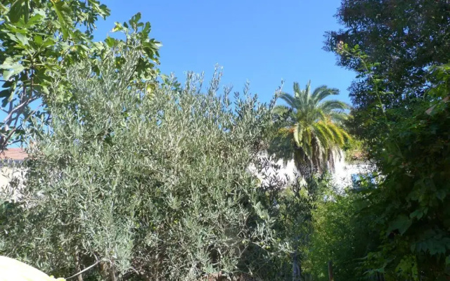 La Summer House avec Jardin