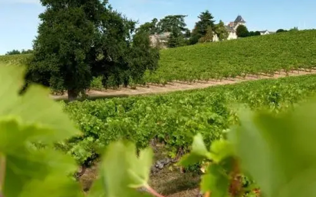 Château Soucherie
