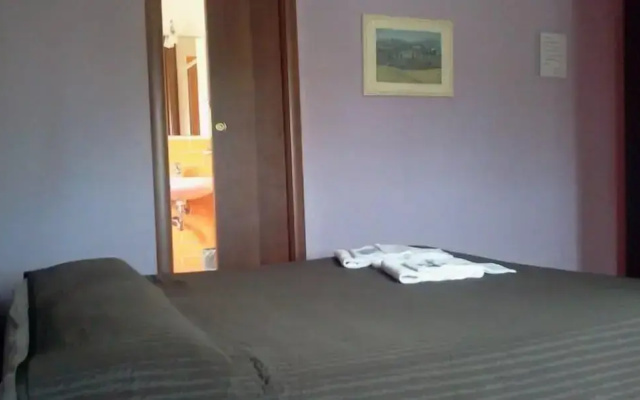 Olympus B&B