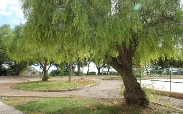 Sainvi 6-9a