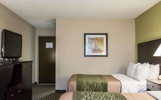 Comfort Inn & Suites St. Pete - Clearwater International Airport
