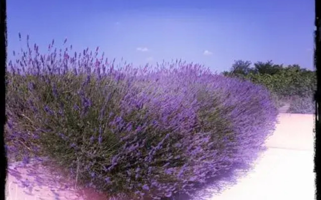 Dimora del Bugiardo