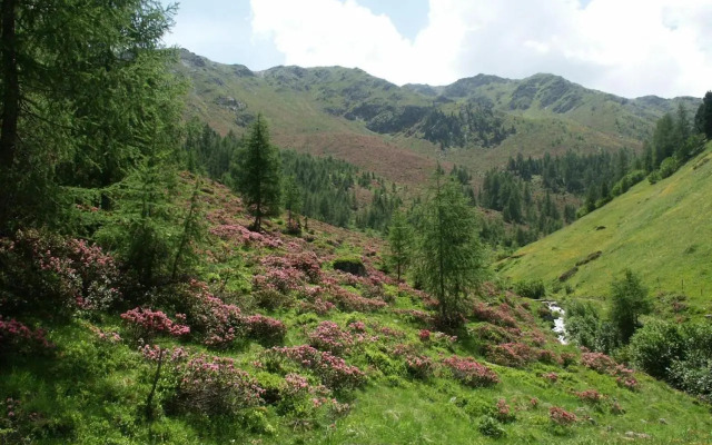 Ferienwohnungen Steidl