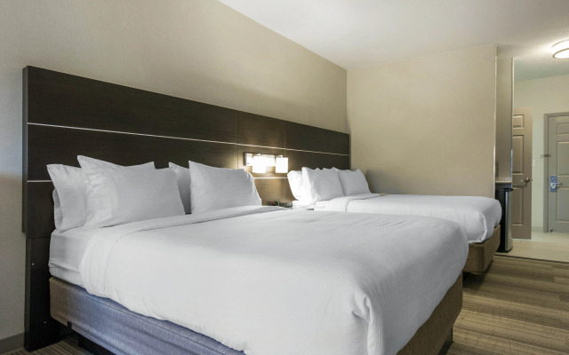 Holiday Inn Express & Suites Chicago West - St Cha