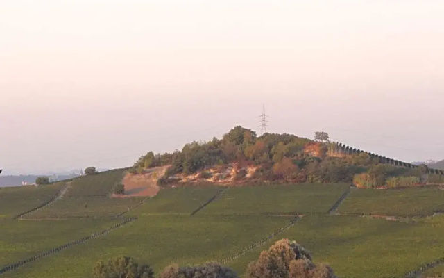 Villa Vecchio