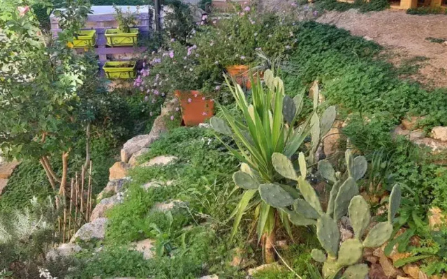 Il moro di Sicilia