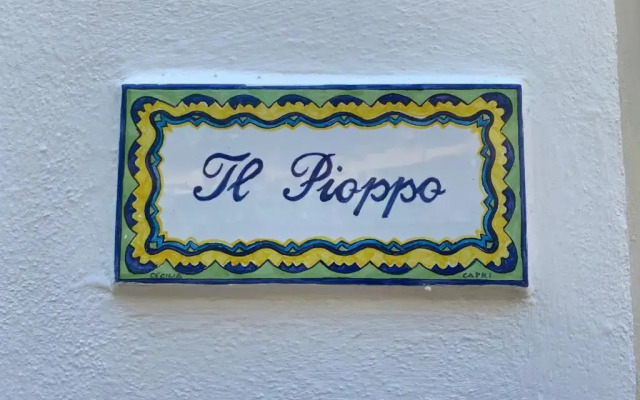Villa Striano Capri - Guest House - Rooms Garden & Art