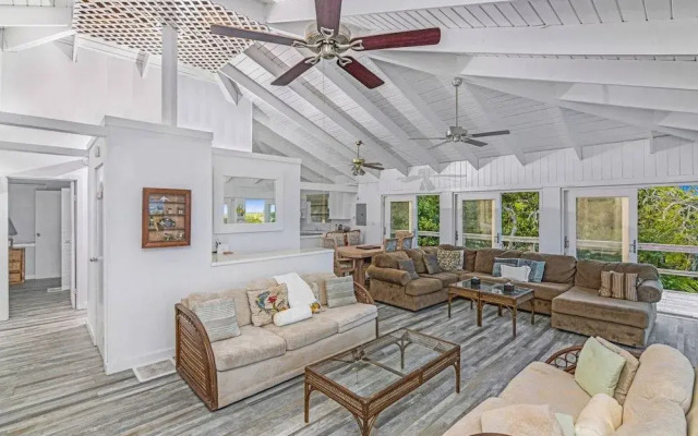 Palmetto Palms