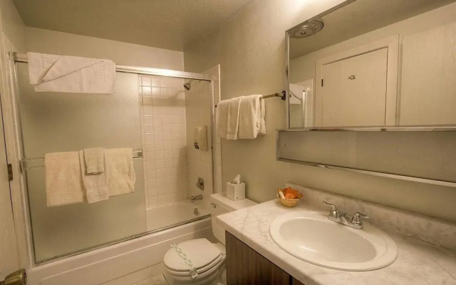 Alder AvenueApartment
