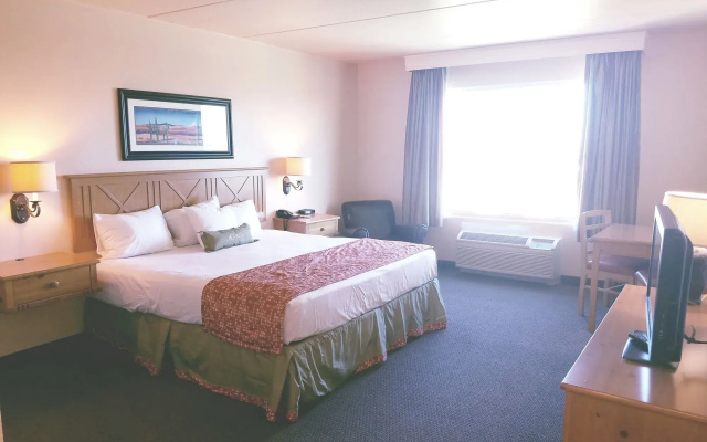 Avi Resort & Casino