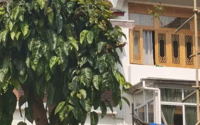 Tengchong Jinshuiwan No.9 B&B