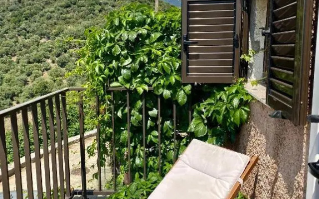Studio Terrasse Vue Mer Clim Wifi Parking