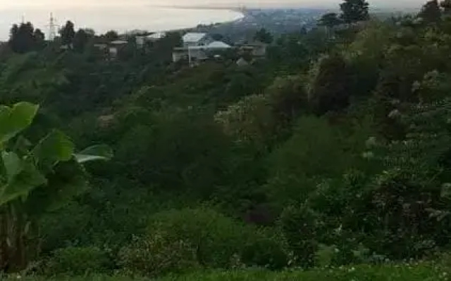 vila guta