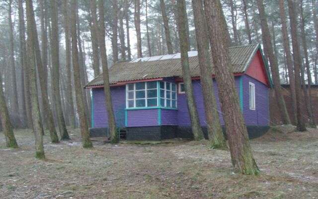 Гостиница Sosnovaia Poliana Hostel в Светлогорске отзывы, цены и фото номеров - забронировать гостиницу Sosnovaia Poliana Hostel онлайн Светлогорск вид на фасад