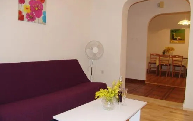 Apartment Viki
