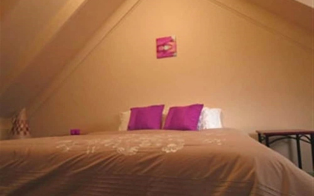Barrington Wilderness Cedar Lodge Accommodation