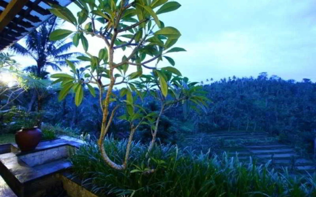 The Payangan Hideaway