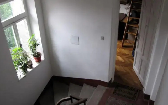 Studio Brankos Nest