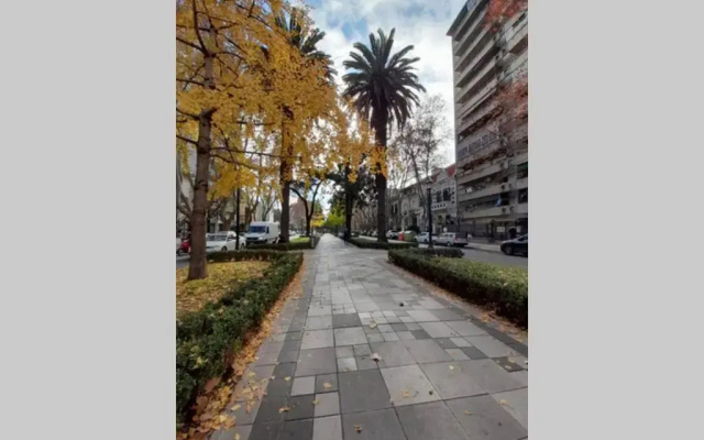 Excelente ubicación en el Bv. más lindo de Rosario