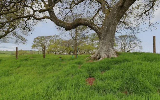 Wild Acre