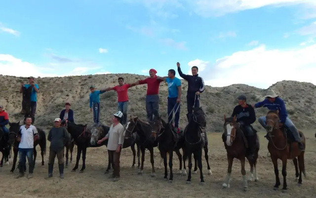 Jurten Camp Almaluu