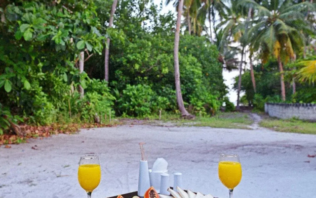 Asaa View