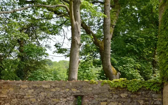 Cottage in Wierre-Effroy near Forest