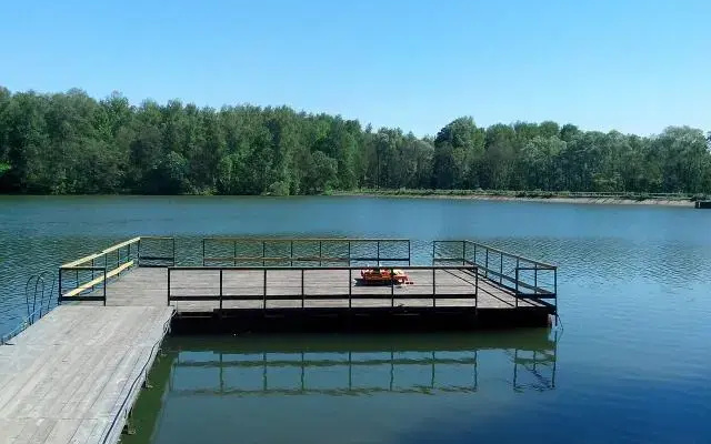 Берёзки
