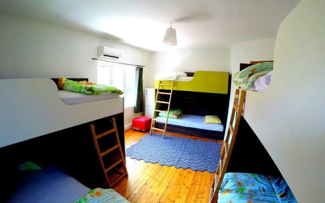 Funky Monkey Hostel