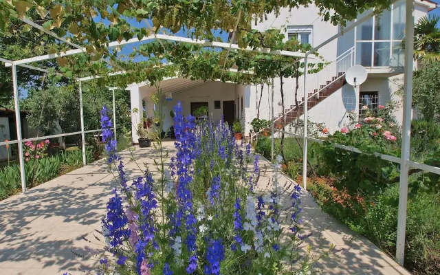 Apartments Mimoza 924