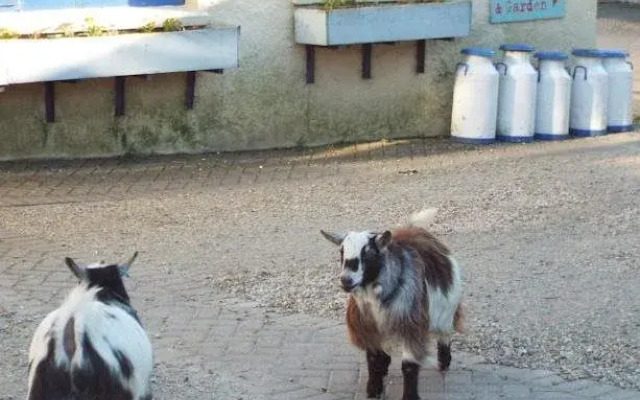 Sampsons Farm Country Hotel