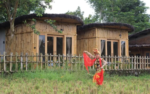 Sawah Ijen