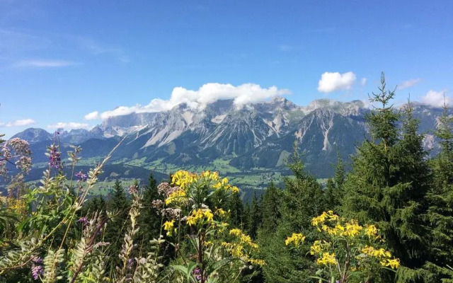 Appartement Hochwurzen