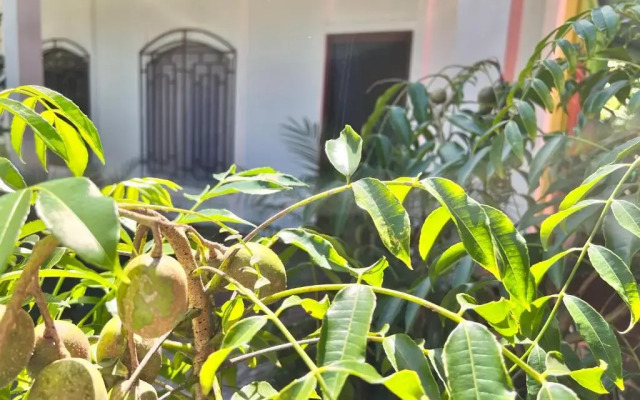 Natural Experience House