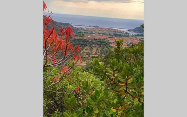 Tiria House Bosa - Casa Vacanze