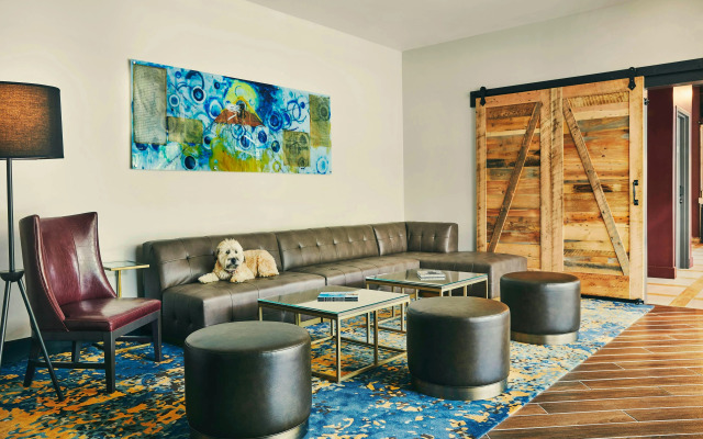 The Draftsman, Charlottesville, University, Autograph Collection Hotel