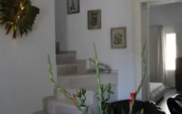 DUOMO55